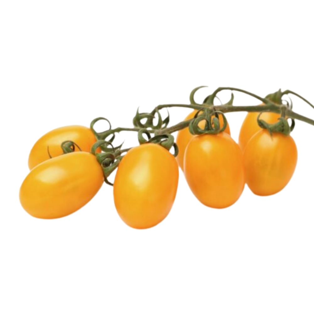 Tomate Cerise Ronde Jaune 250g
