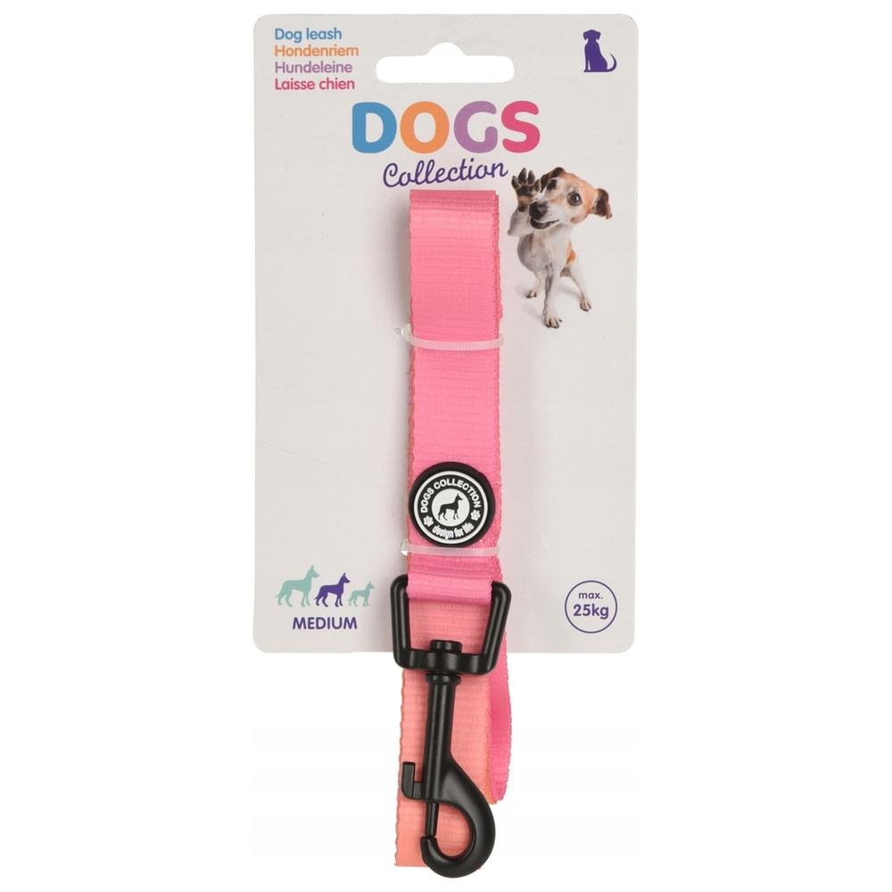 [682592] Laisse Chien 1200x20mm