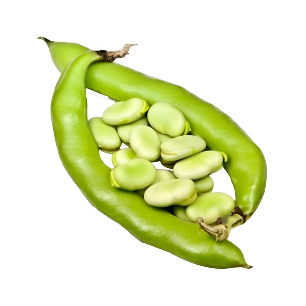 Fèves Bio 250g
