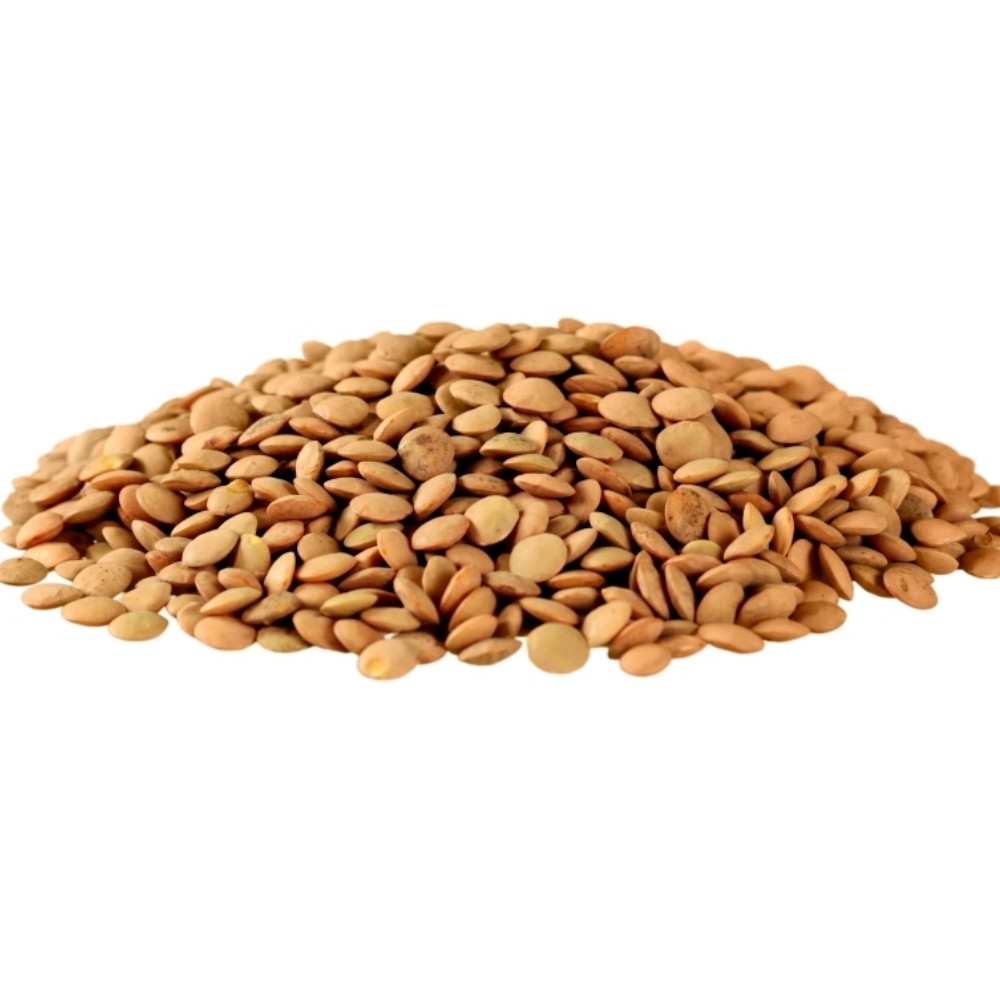 Lentilles Extras 400g