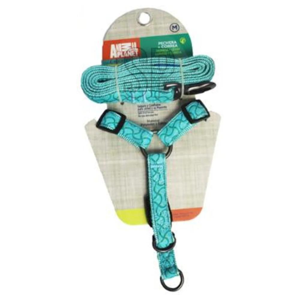 Ceinture pour Chien avec Harnais