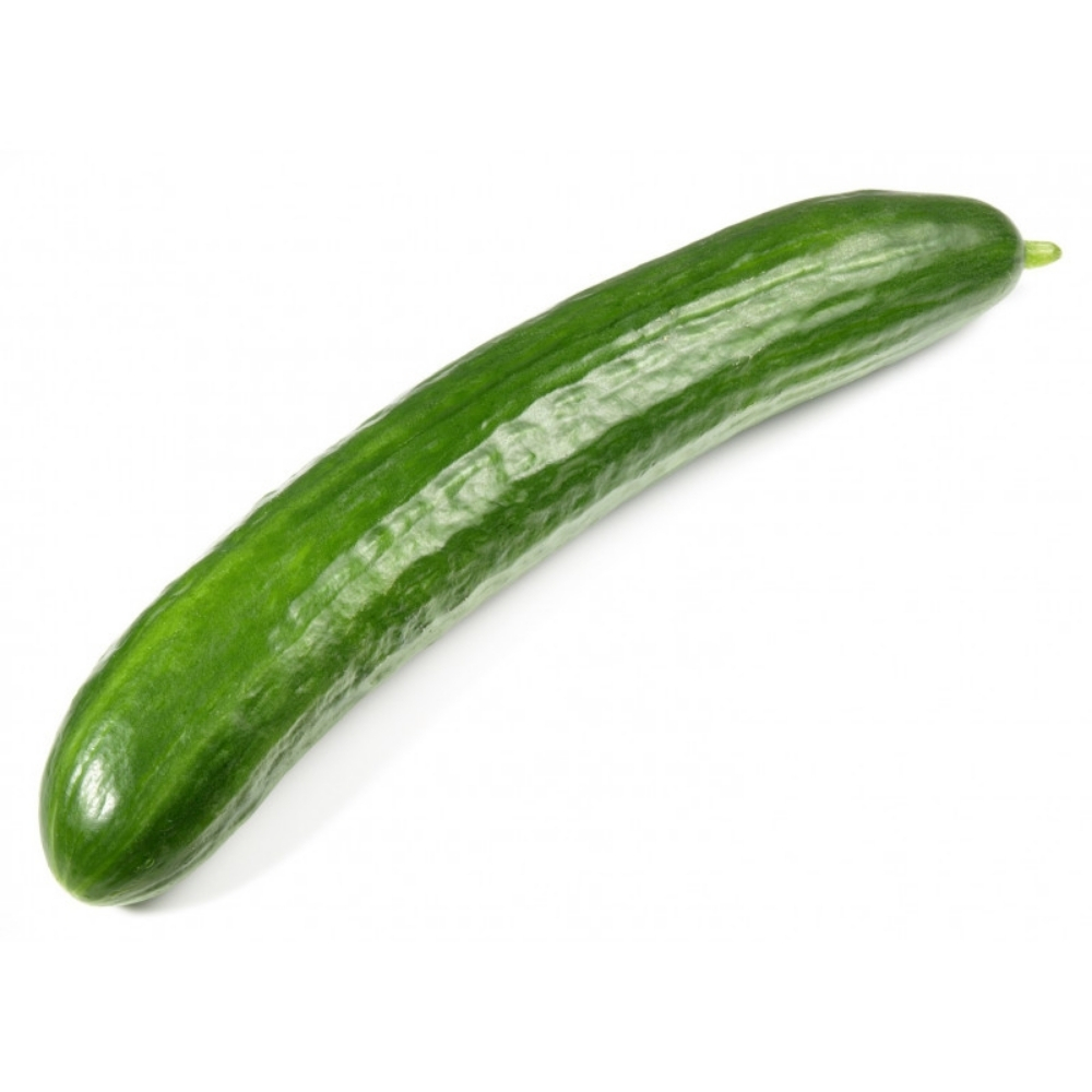 Concombre Long 500g
