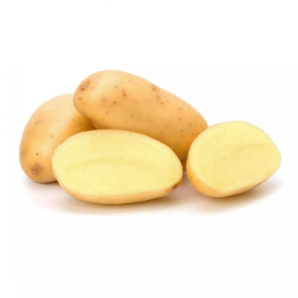 [593506] Pomme de Terre Charlot 500g