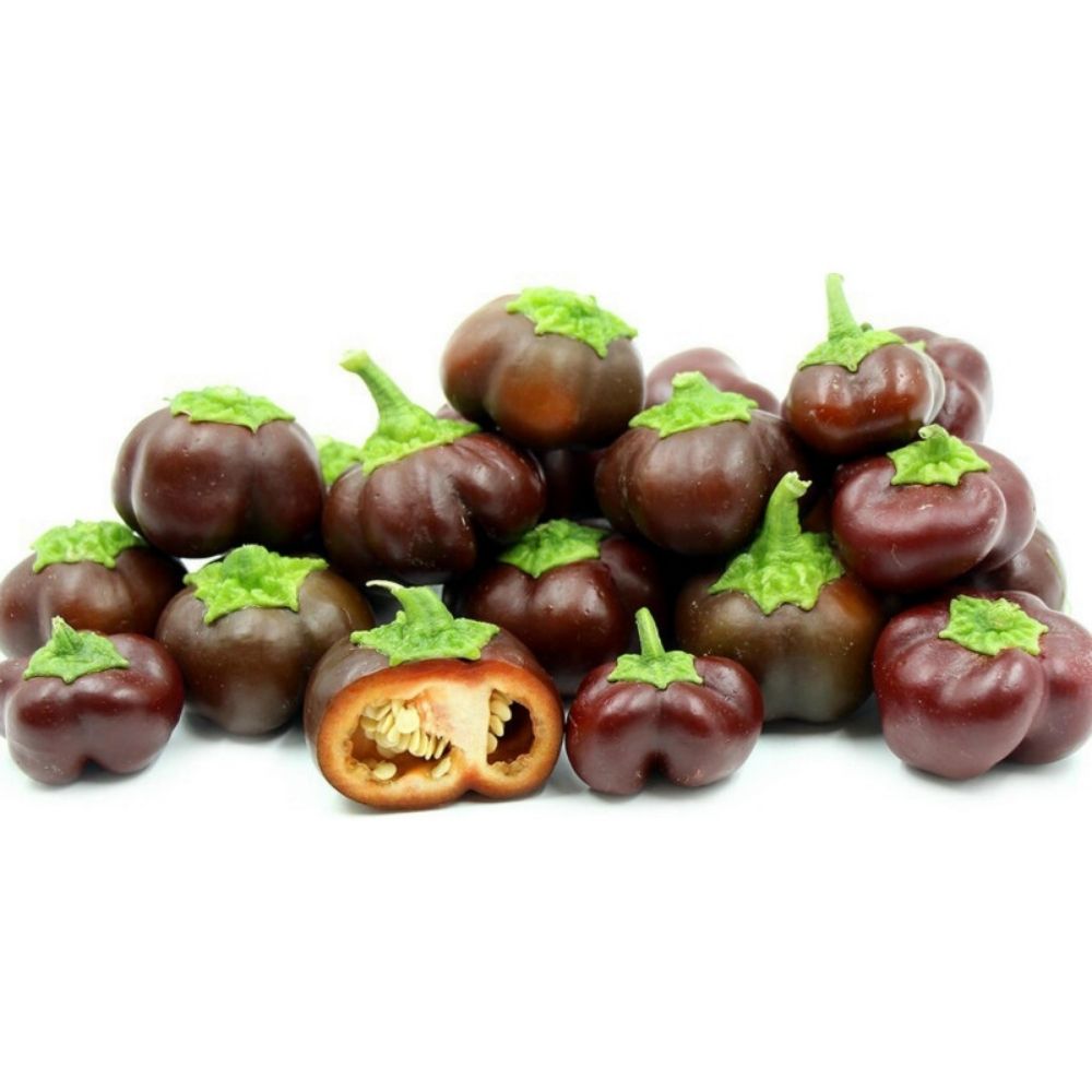 Poivron Mini Chocolat 250g