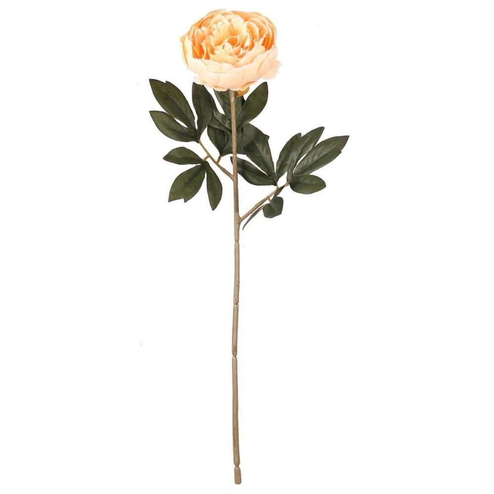 Tige de Pivoine Jaune Kasa 48 cm