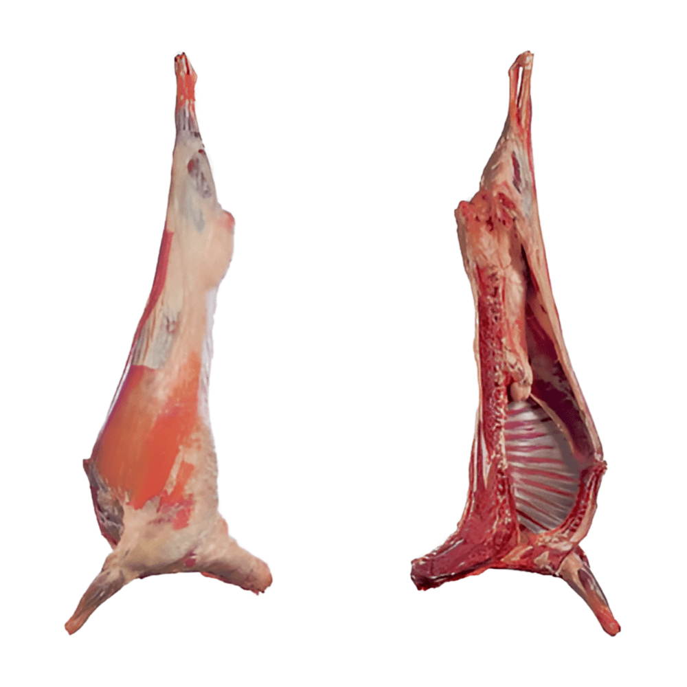 [11033] 1/2 Agneau au kg.