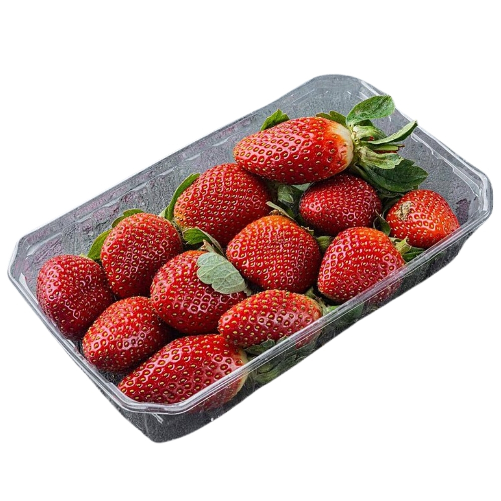 [625093] Fraise Barquette de 250g