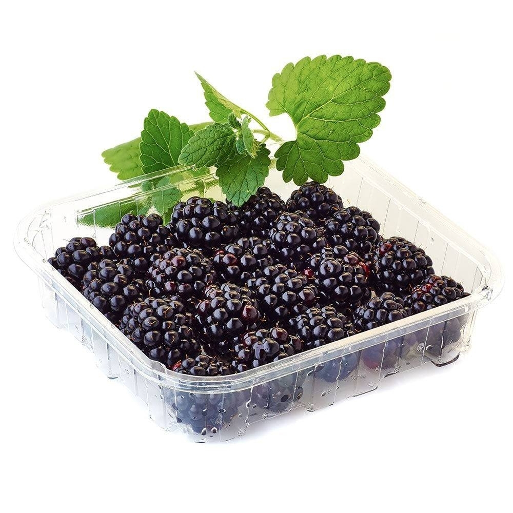 [672813] Mûre Barquette 125g