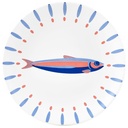 Assiette en Porcelaine Ronde Poisson Nautique Kasa 19 cm