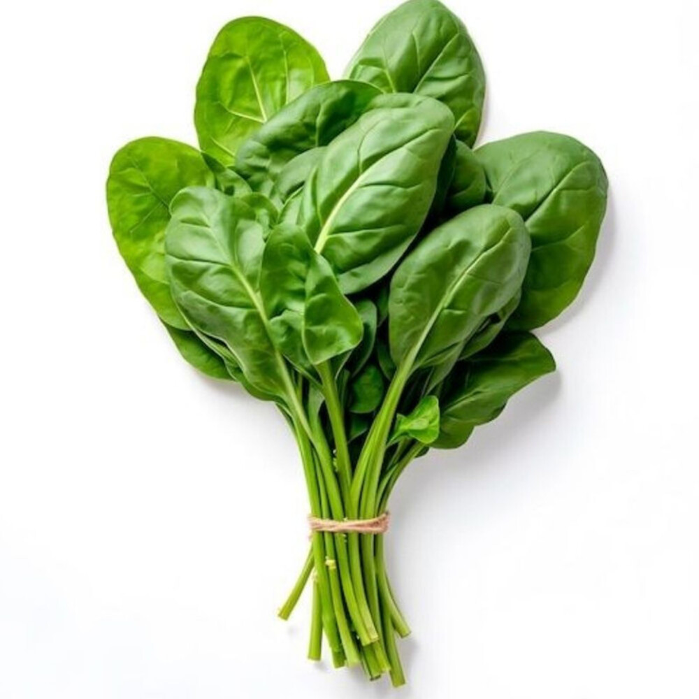 Arroche Verte à la Pièce