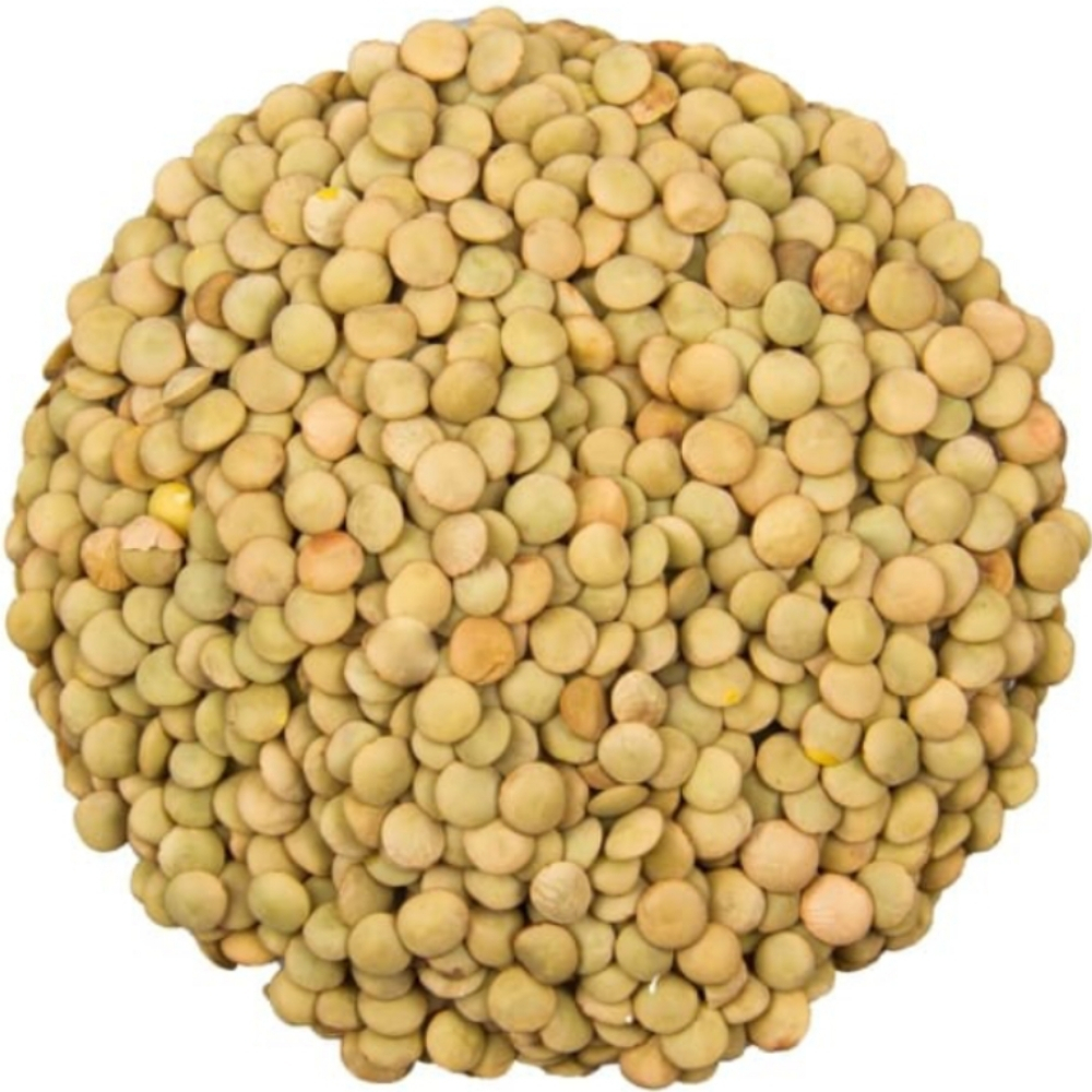 [69883] Lentilles Normal 200g