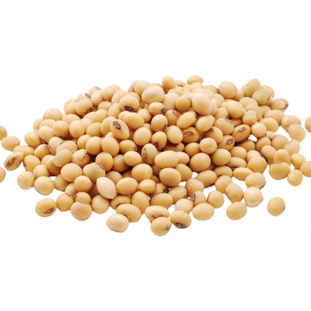 [658266] Soja 400g