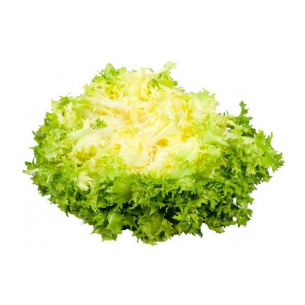[593518] Salade Frisée Jaune à La Pièce