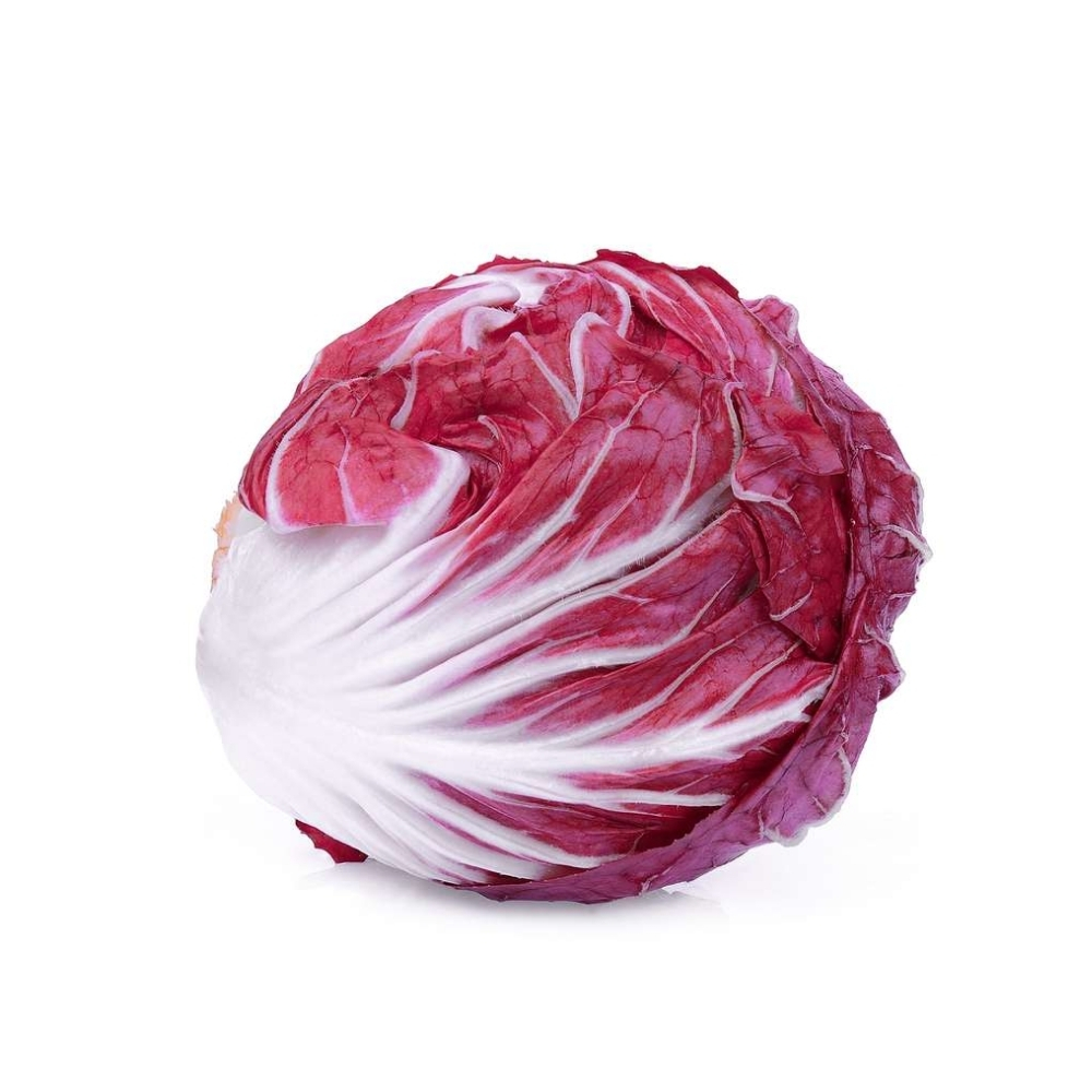 Salade Chicoree Rouge Italienne à La Pièce