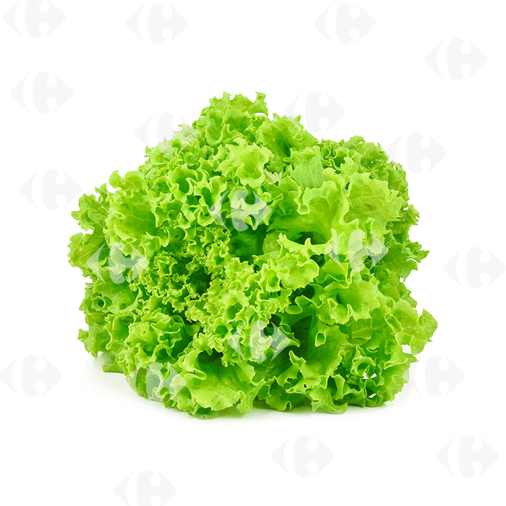 [162285] Salade Laitue Frisée à La Pièce.