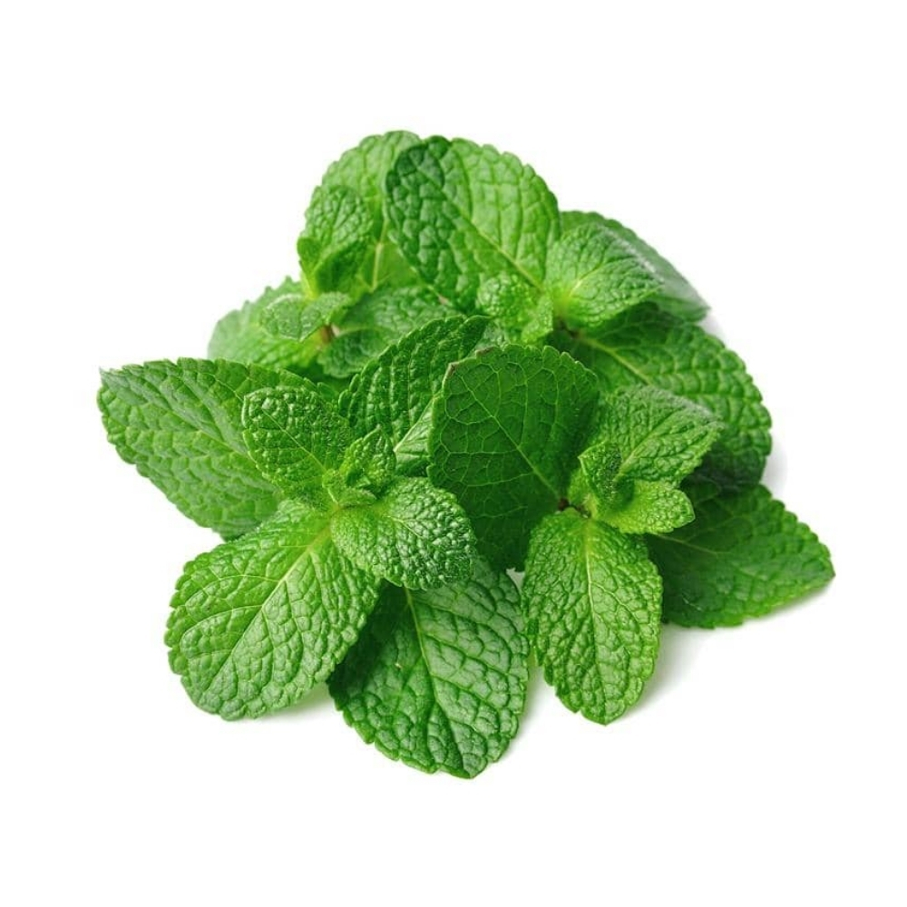 Menthe Poivrée Pot 1 unité