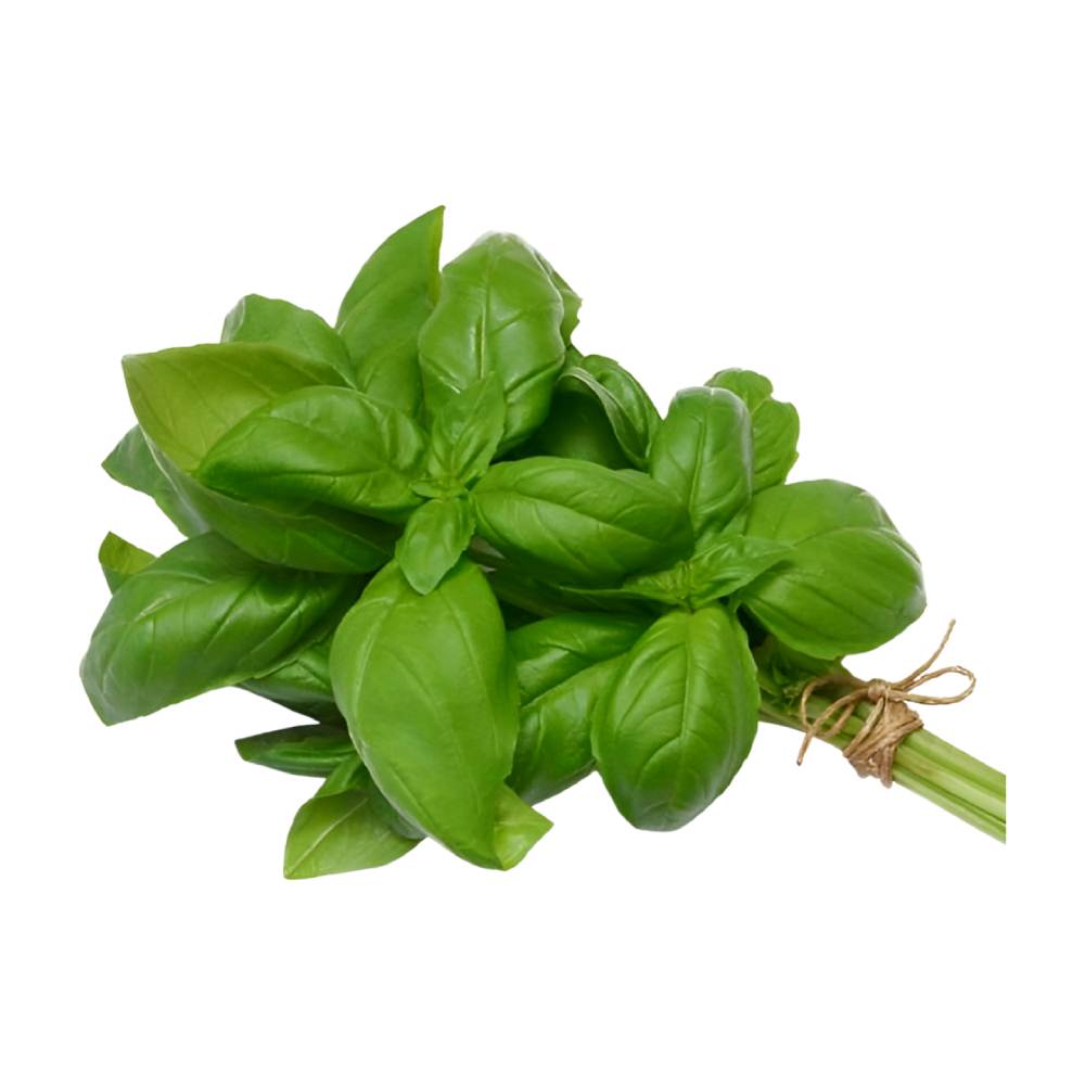 [535816] Basilic Bio Botte à la pièce.