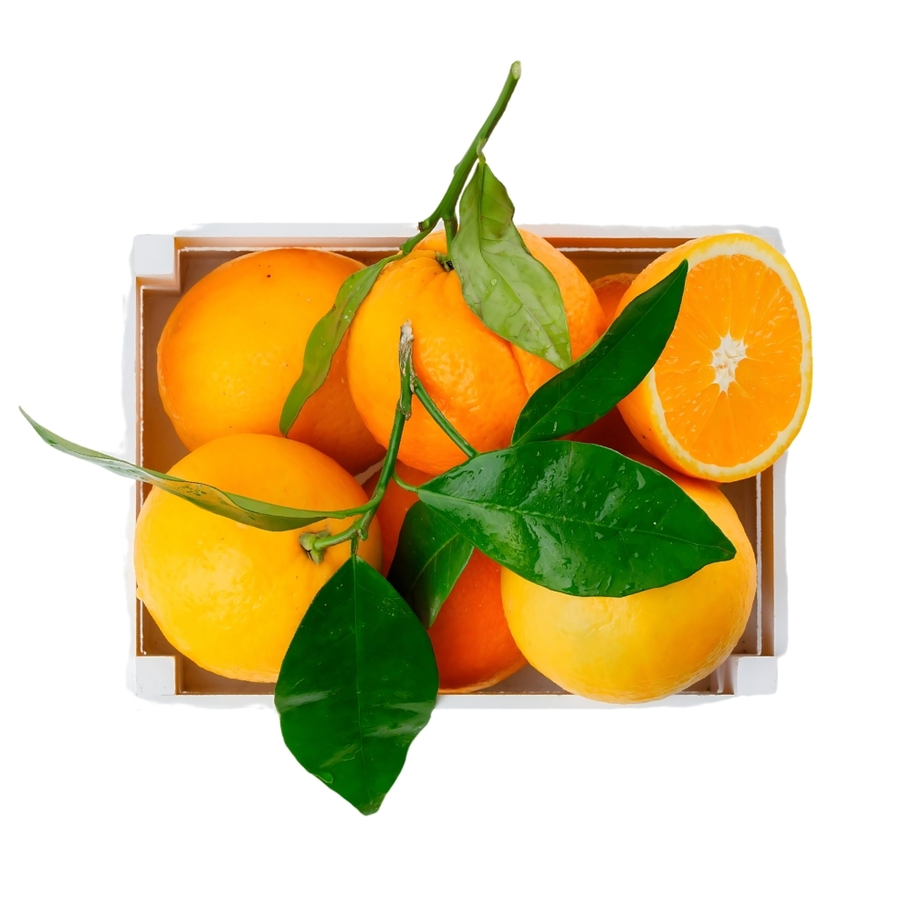 [576185] Orange Navel avec Feuilles Barquette