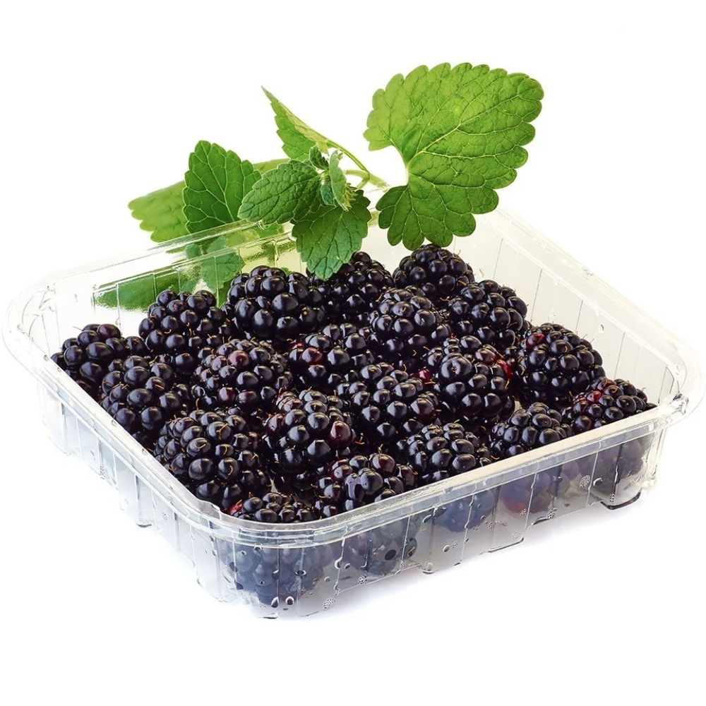 [227847] Mûre Barquette 250g