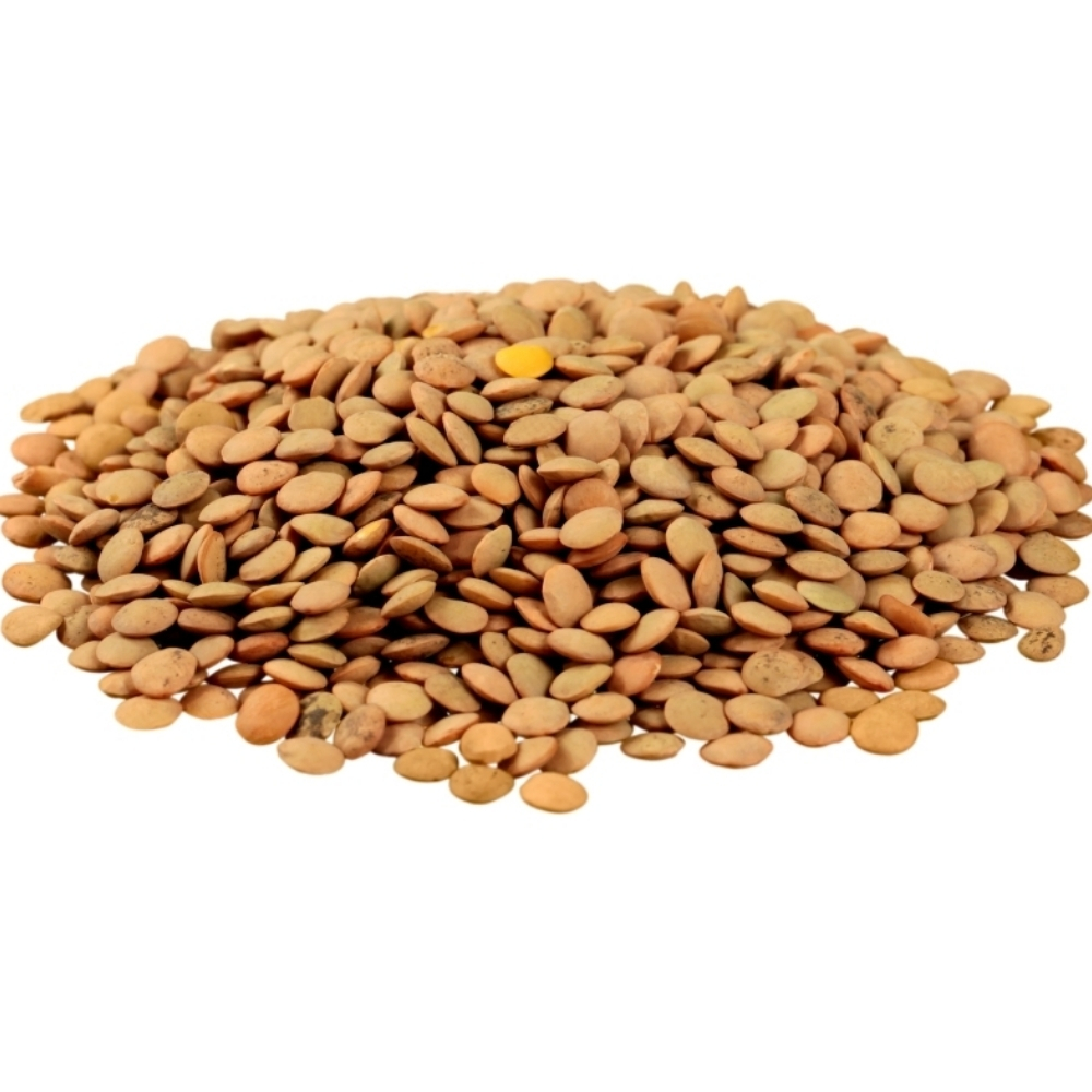 [671922] Lentille 250g.