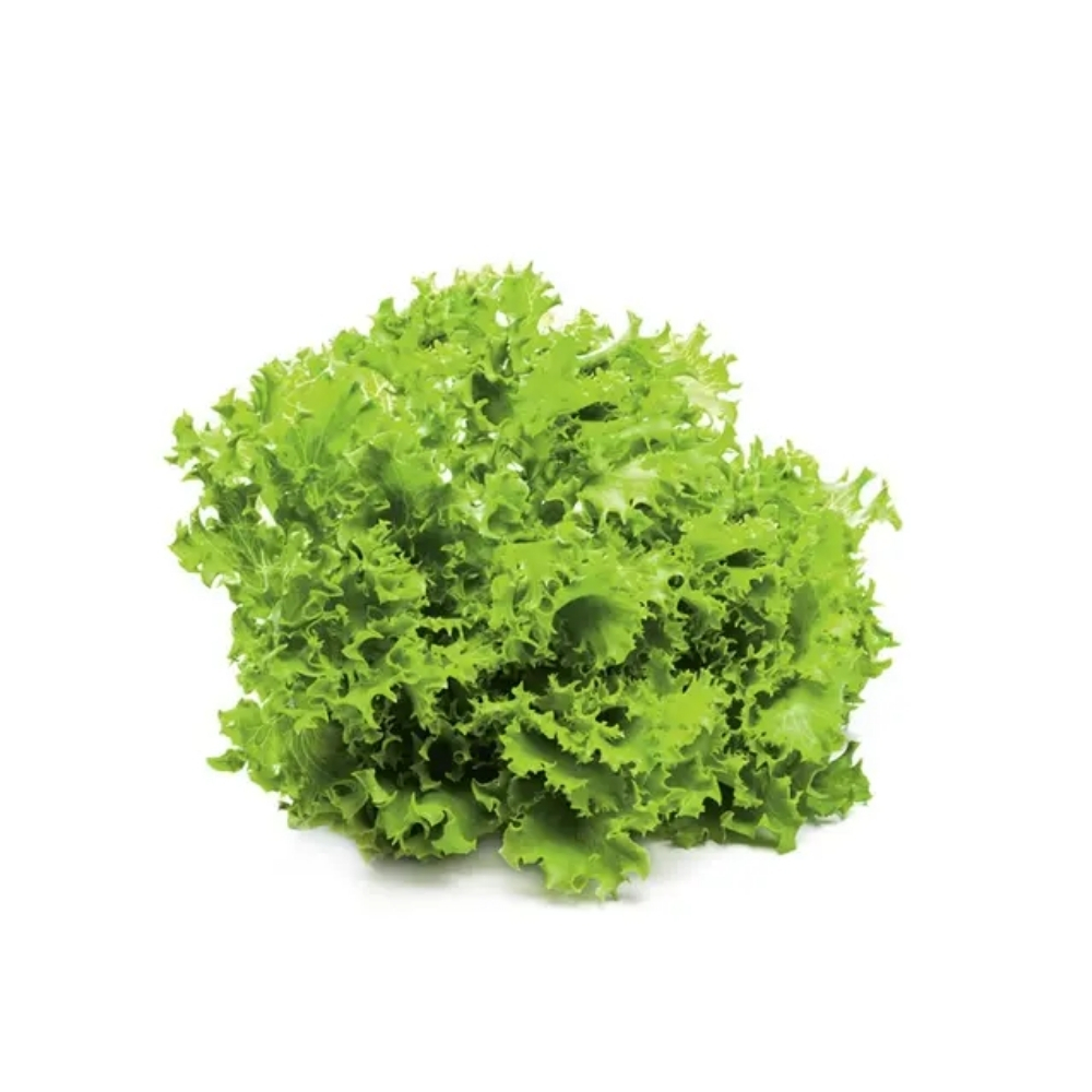 Salade Laitue Frisée à la Pièce