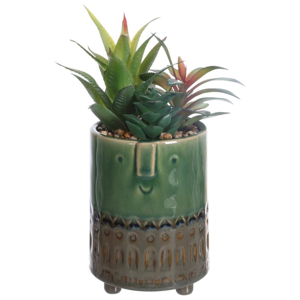 Plante Vert/Marron avec Pot en Céramique Kasa 21 cm