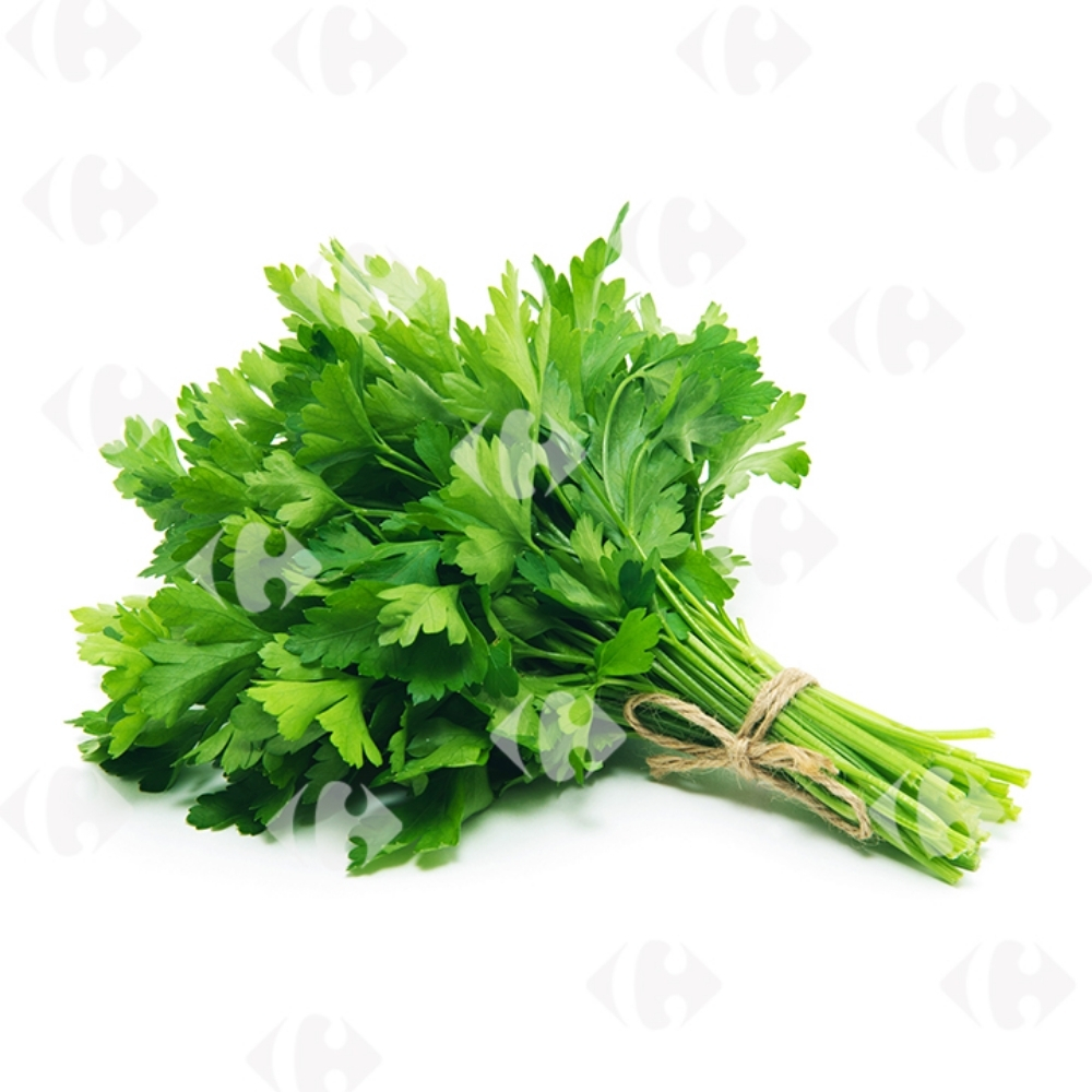 Coriandre en Sachet Bio 20g