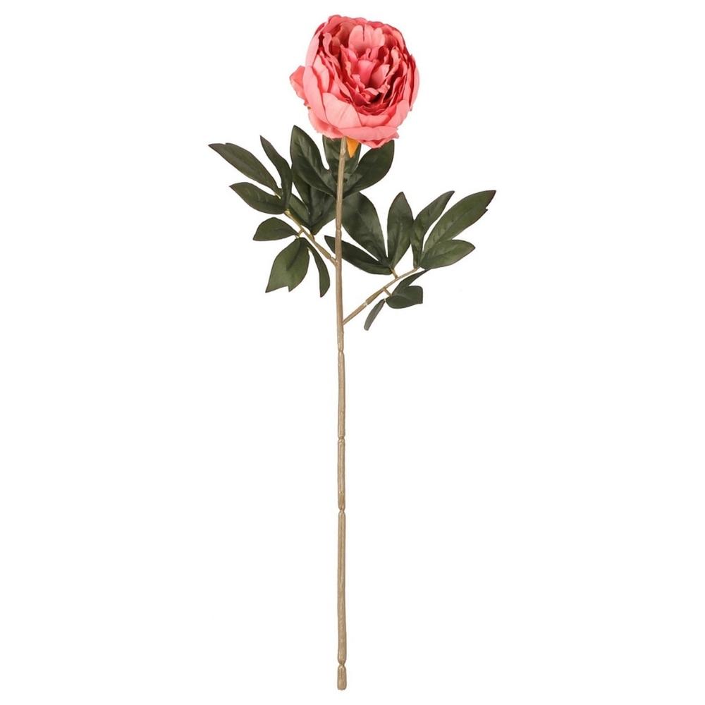 [722248] Tige de Pivoine Rose Kasa 48 cm