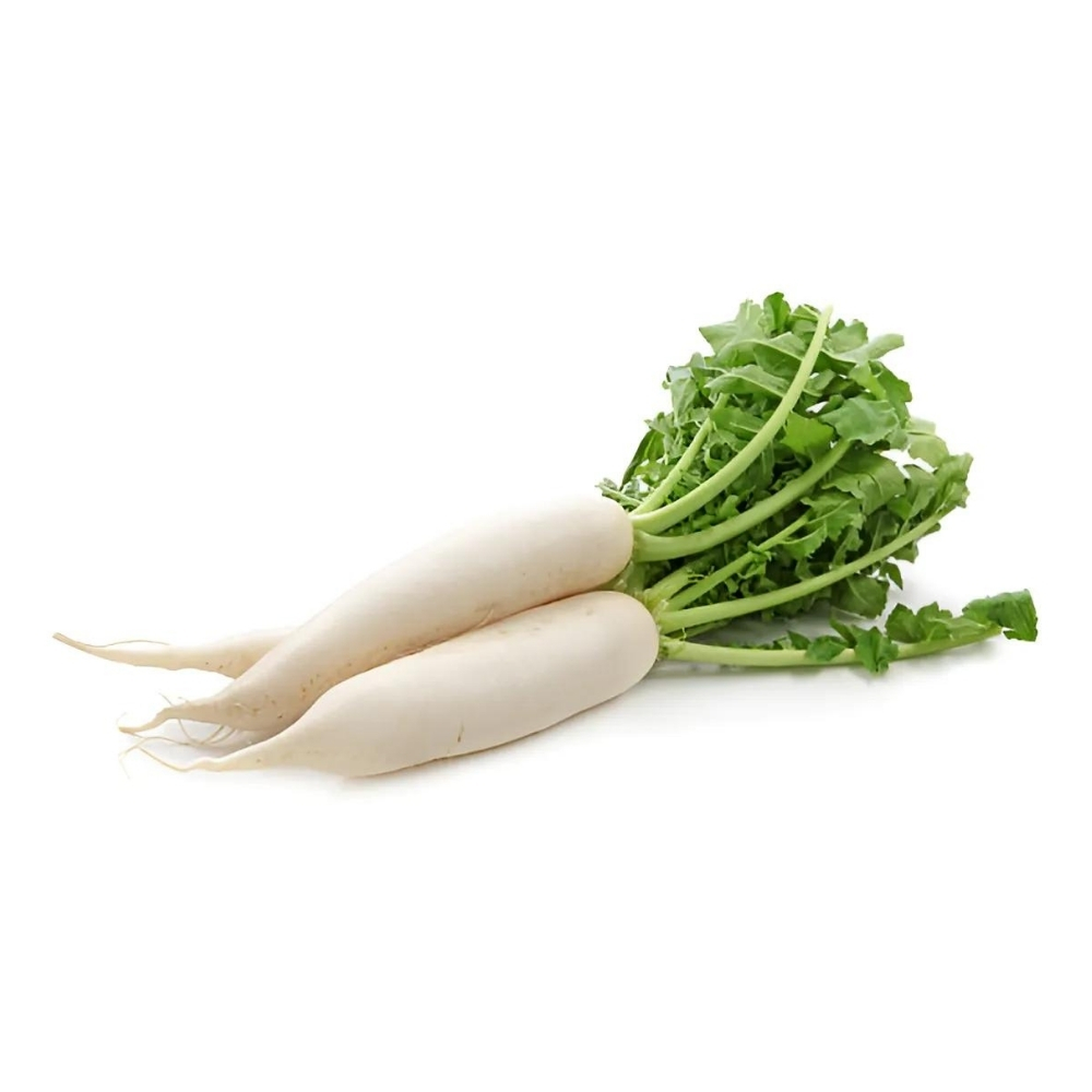 Radis Blanc 250g