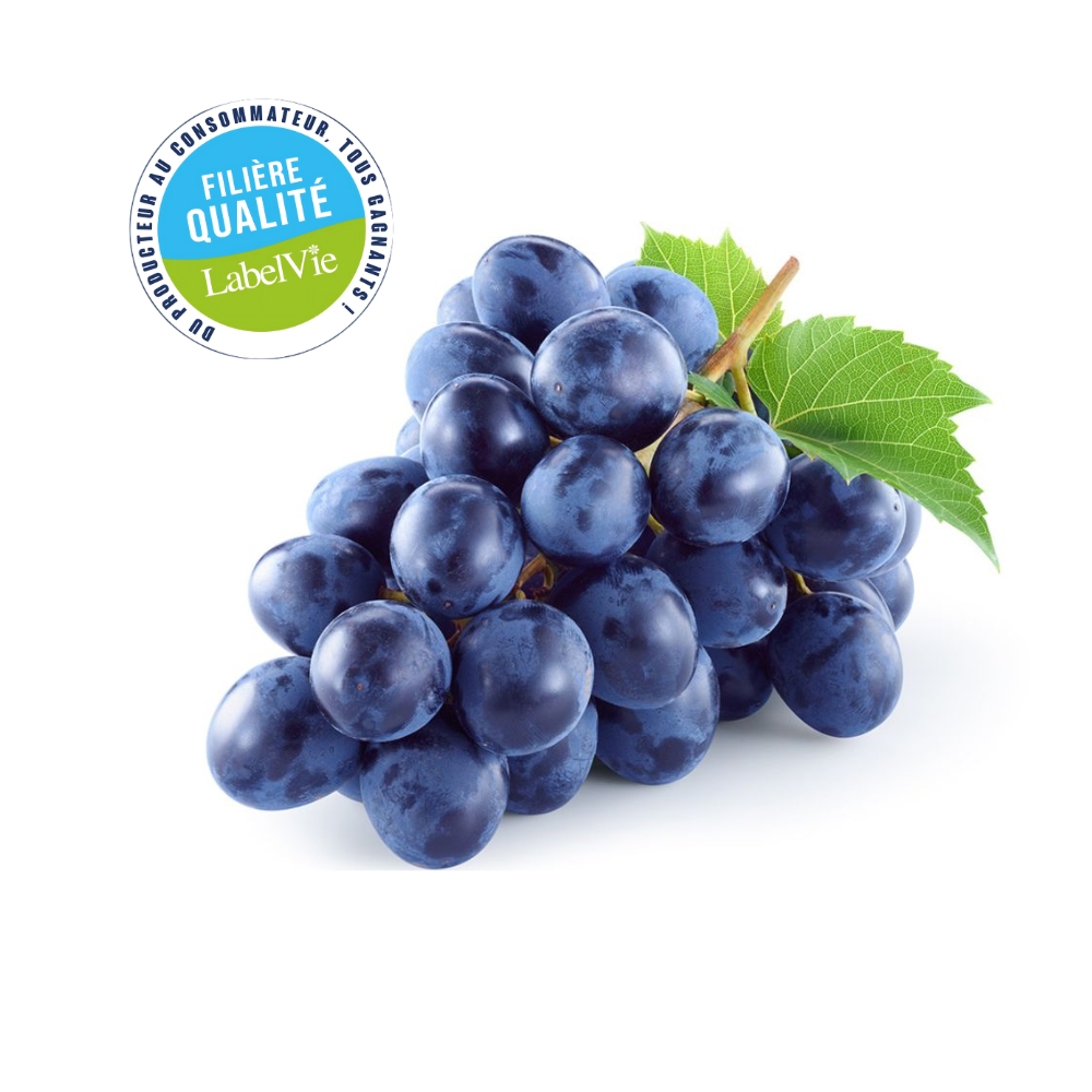 Raisin Noir Local au Kg - Filière Qualité