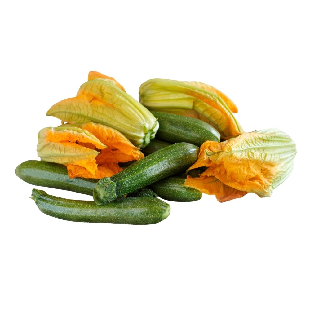 Fleur de Courgette 500g