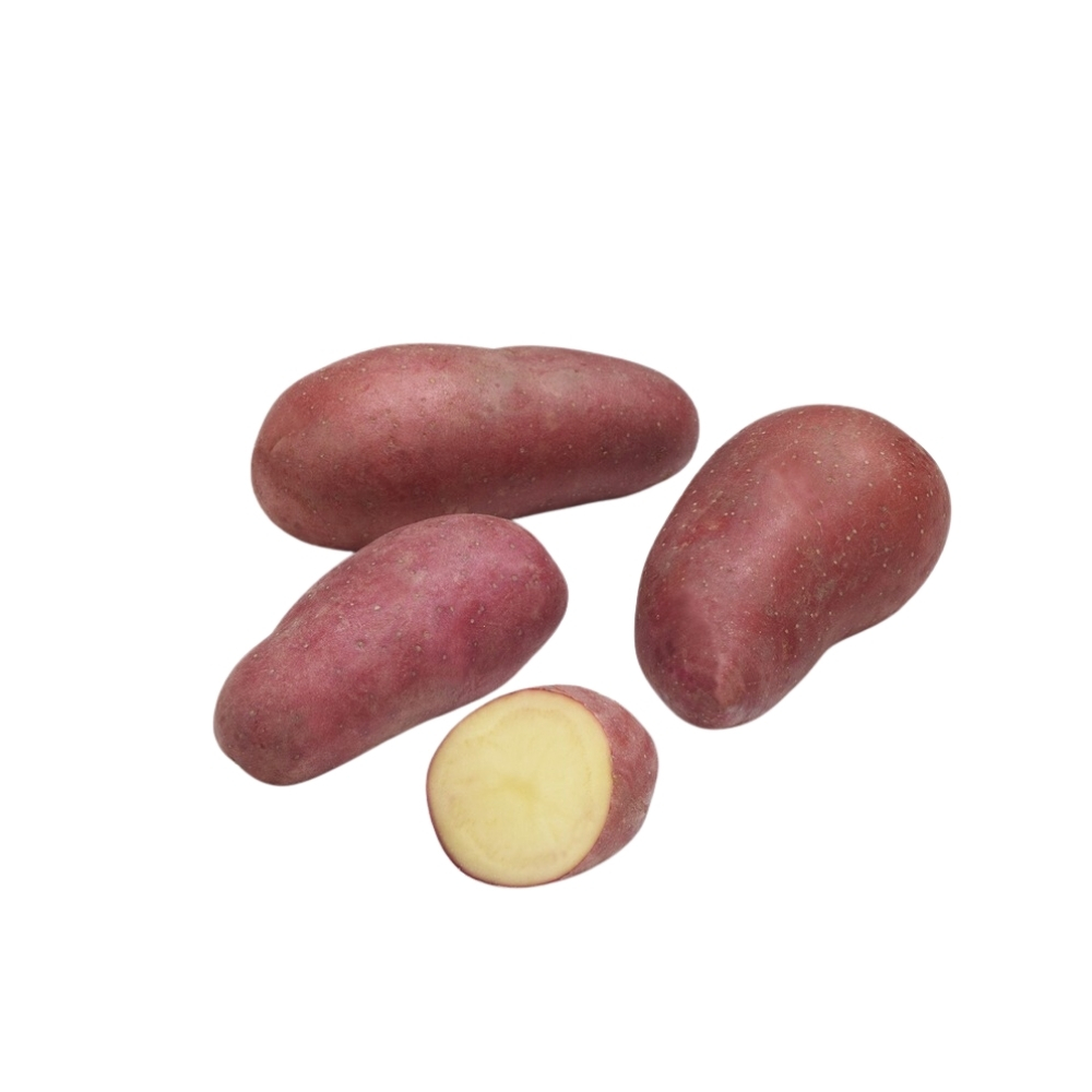 Pomme de Terre Rouge Bio 500g
