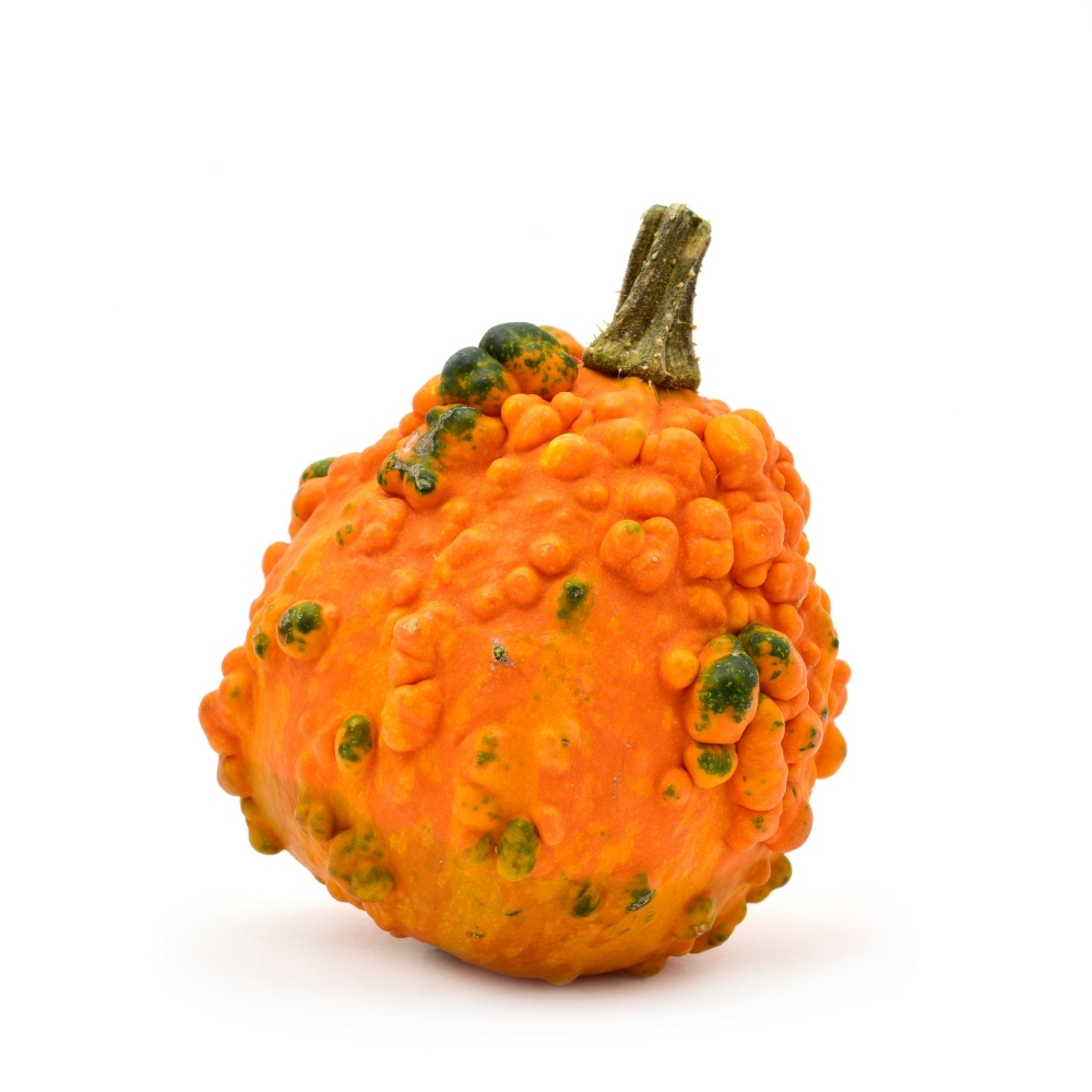 Courge Verruqueuse 500g