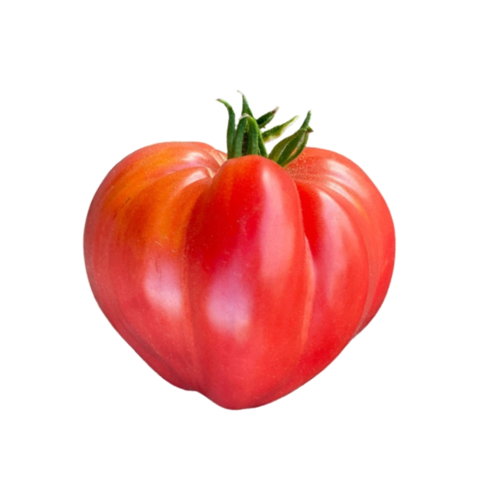 [620186] Tomate Cœur de Bœuf Bio 500g