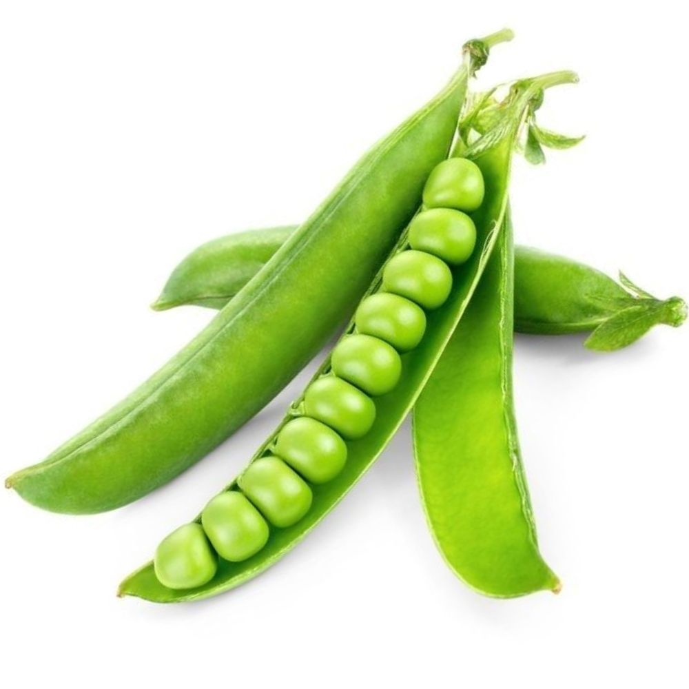 Petit Pois Écossais Spécial Agro-Écologique 1 unité