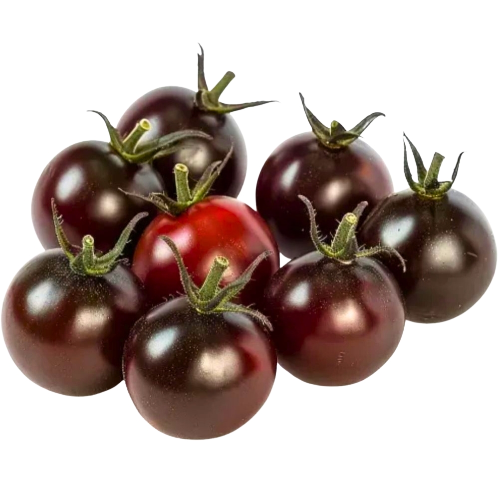 [704083] Tomate Cerise Noire 175g