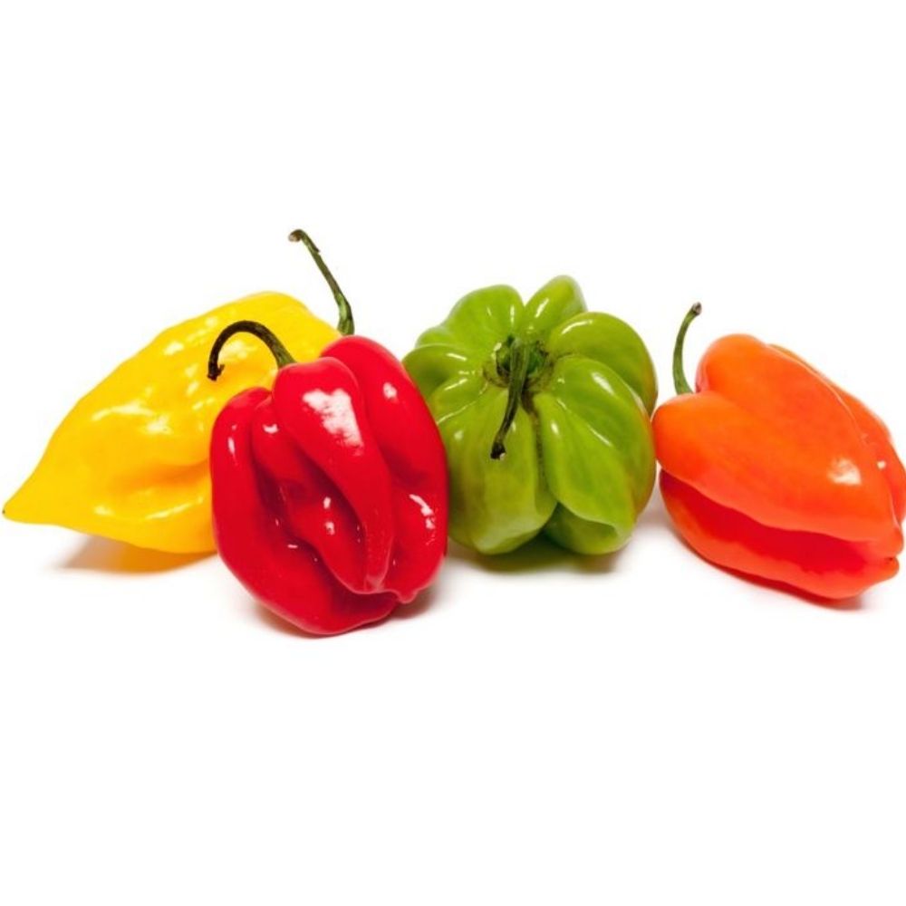 Piment Habanero 100g