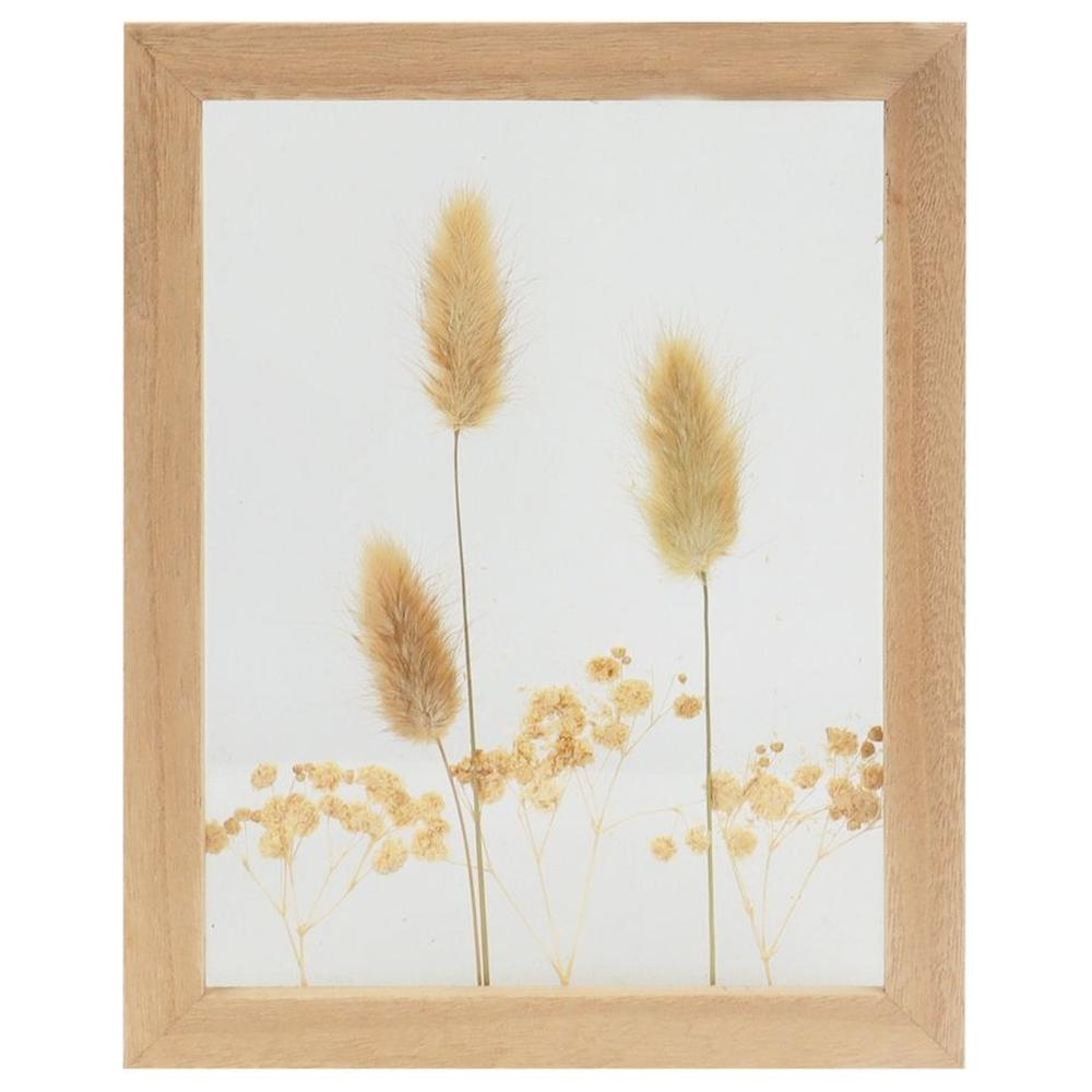 [716560] Tableau Rectangulaire avec Fleurs Séchées Kasa 23x18cm