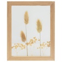 Tableau Rectangulaire avec Fleurs Séchées Kasa 23x18cm
