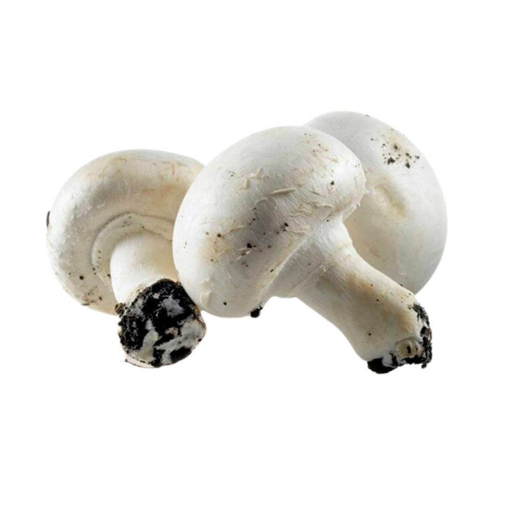 Champignons Pieds Entiers 250g